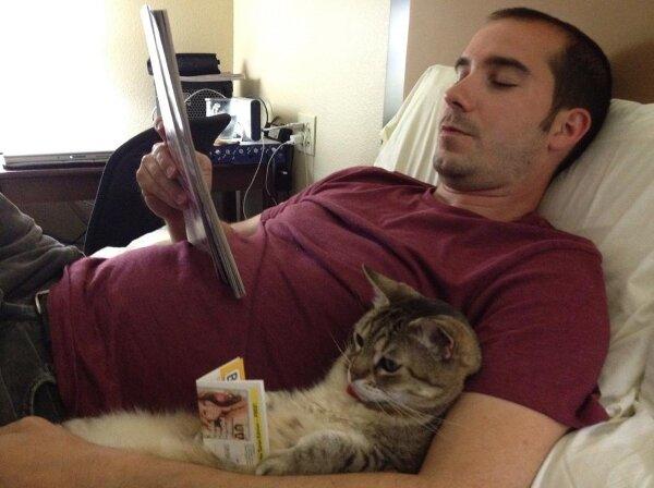 Man's best friend? Cats are QUITE intelligent!