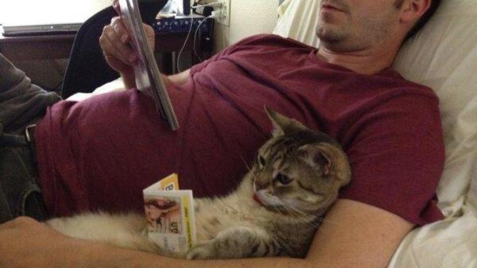 Is the issue of pets a deal breaker for you when dating?