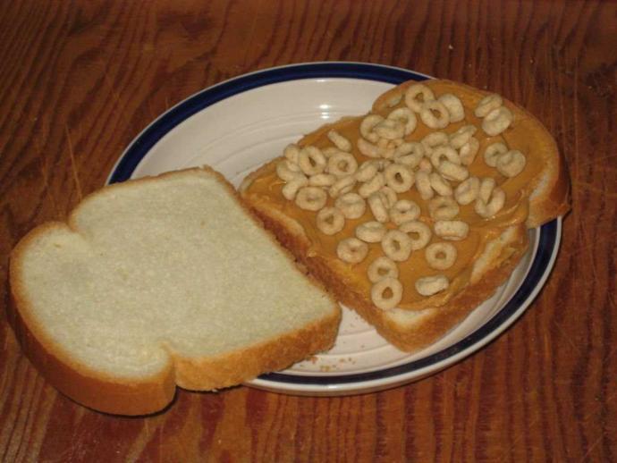 Have you ever eaten food?
