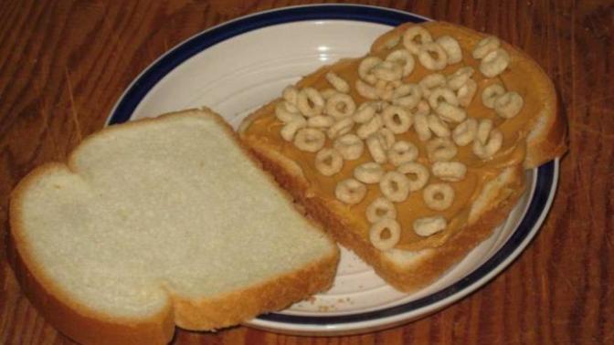 Have you ever eaten food?