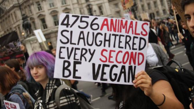 Vegans/Vegetarians, Are You Pro-Choice or Pro-Life?