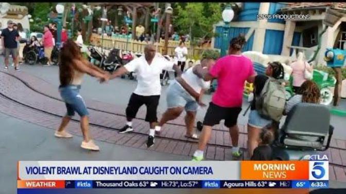 Has anyone seen the Disney land brawl?