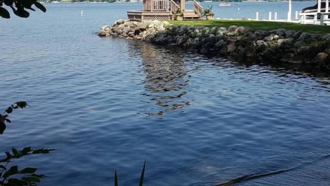 Would you want to swim here?
