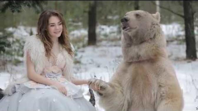 What you think about bear as friend?