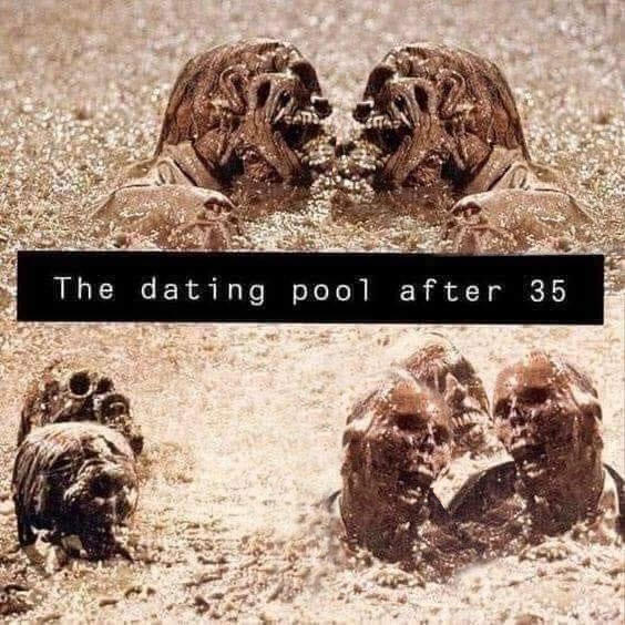 Dating pool after 35. Is the picture below true or false?
