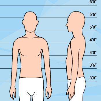Are thin men as unattractive as overweight women for opposite gender?