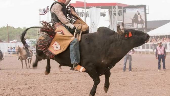 Do you like watching rodeo?