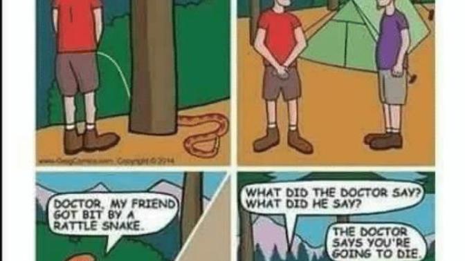 If a snake bit my penis, would you suck out the poison? it could be anyone with a penis but not your SO. it's me if your're unattached... ?