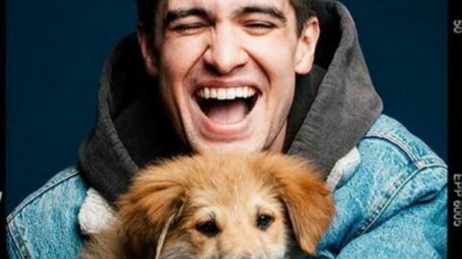 💕whats your oppinion on brendon urie?💕?