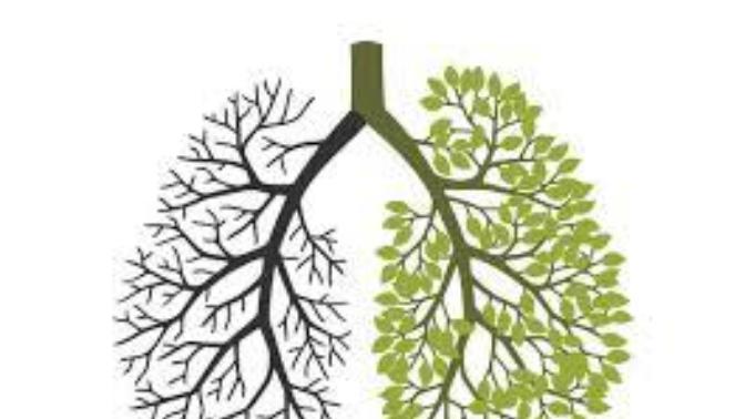 Any experience with lung cancer?
