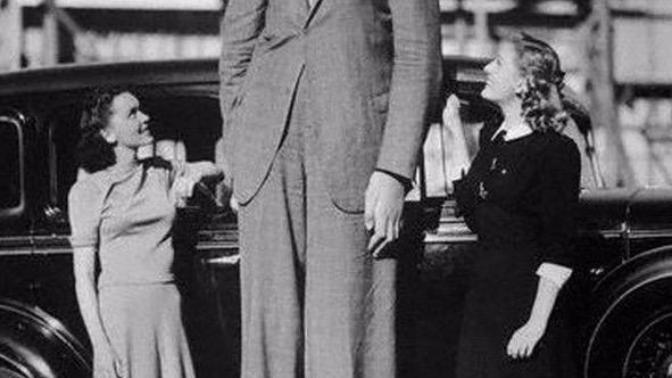 Why are Western women attracted to height? I don't get the reasoning?