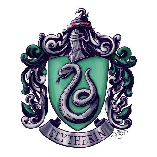 What Harry potter house do you belong in??