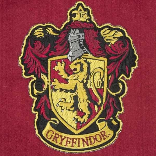 What Harry potter house do you belong in??