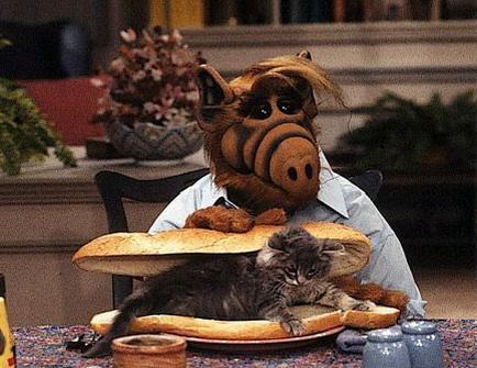 Do you think it’s ok for people to eat dogs and cats?