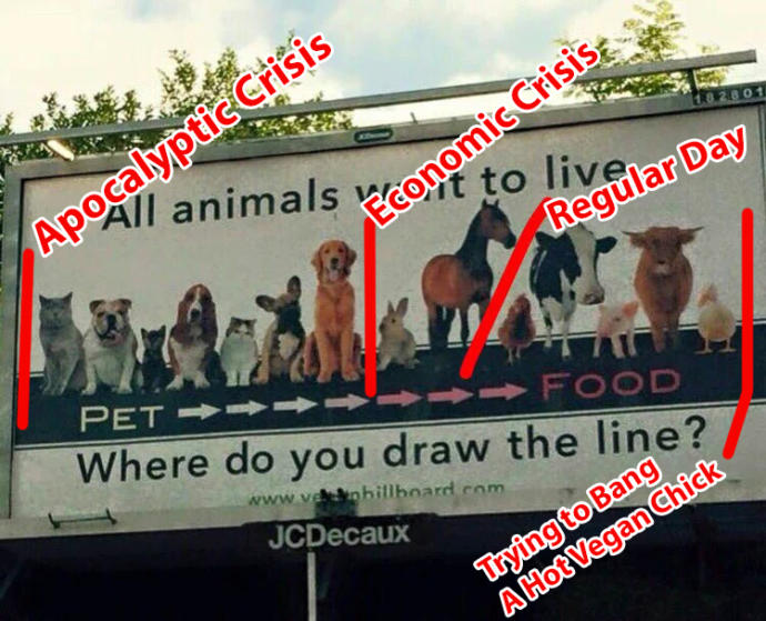 Do you think it’s ok for people to eat dogs and cats?