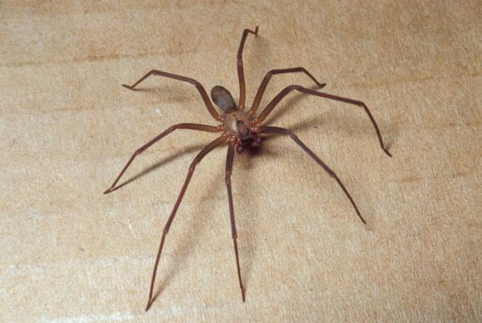 WHAT IS THIS? HELP?