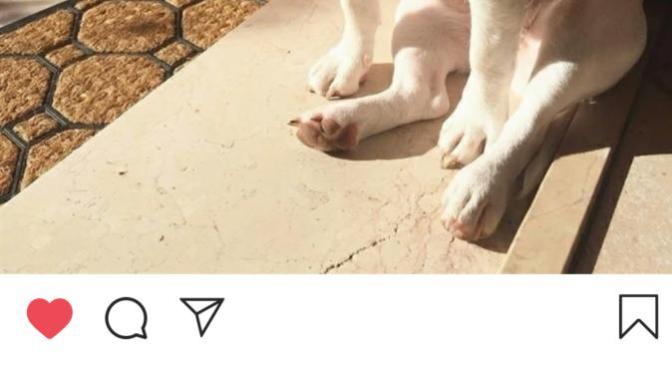Instagram has removed the ability for Australian users to see how many likes their posts or other peoples posts are getting. Is this a positive move?