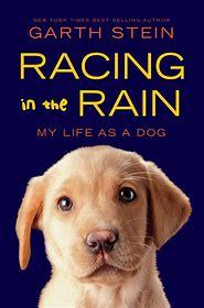 The Art of Racing in the Rain, by Garth Stein is finally coming to the big screen. Who's going to see it?