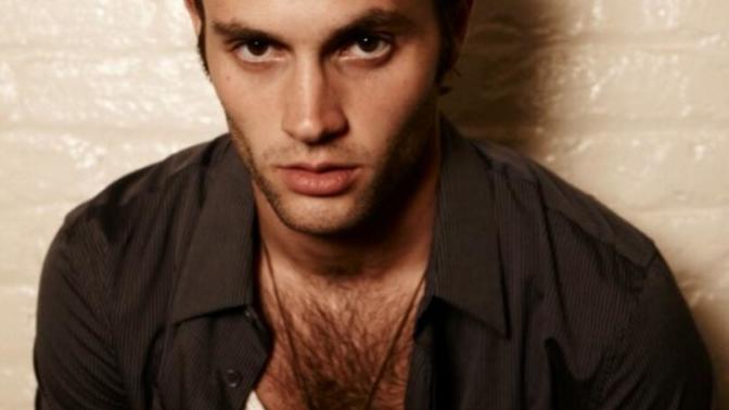 Do you find hairy chest on guys attractive?