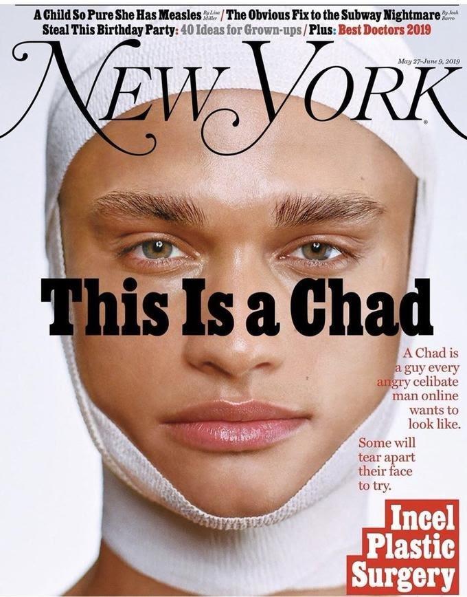 What do you think of incels who undergo plastic surgery to become a