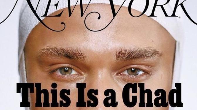 What do you think of incels who undergo plastic surgery to become a "Chad" in order to enhance their dating prospects and sex life?
