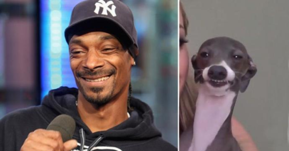 What's the difference between a Dog, Dogg and Dawg? GirlsAskGuys