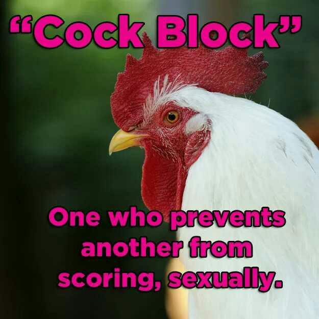 Female equivalent of cock block?