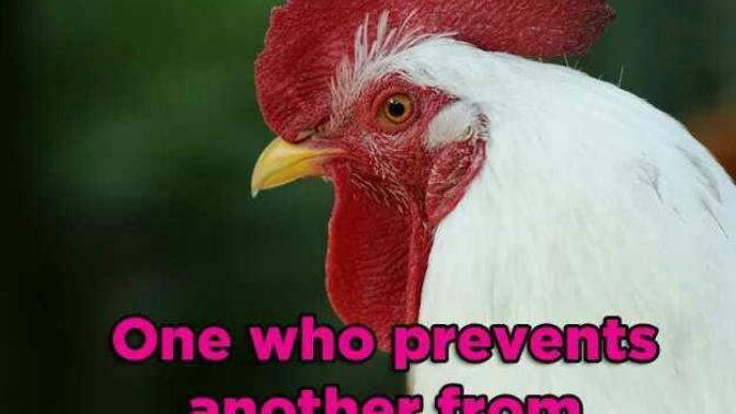 Female equivalent of cock block?