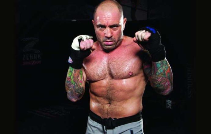 Ladies, what do you think of Joe Rogan's body?