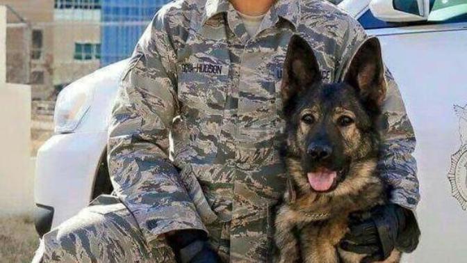 What Branch Of Military Should I Join, Army Or Air Force?