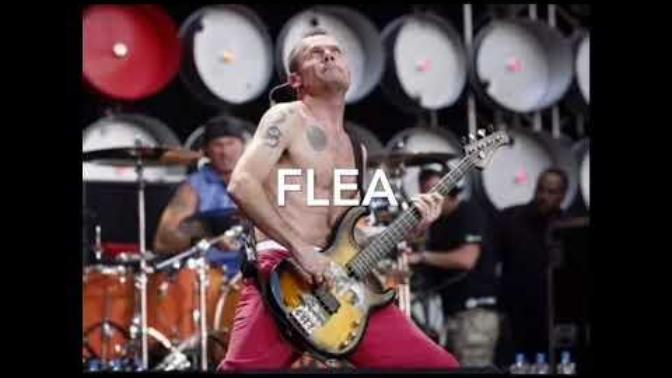Better bassist, Les Claypool v Flea?
