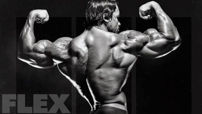 What muscle group is most attractive?