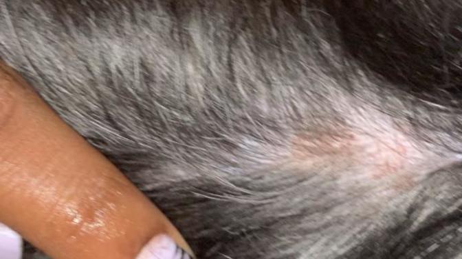What does this look like?