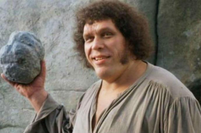 Your favorite Princess Bride character(s).?