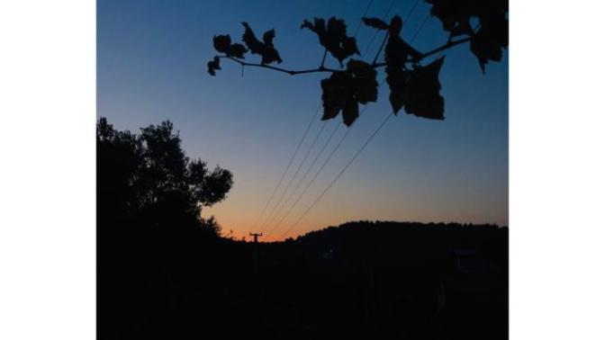 What do you think about my photographic works?
