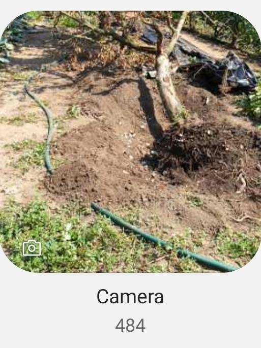 How many photos do you have in your camera roll?