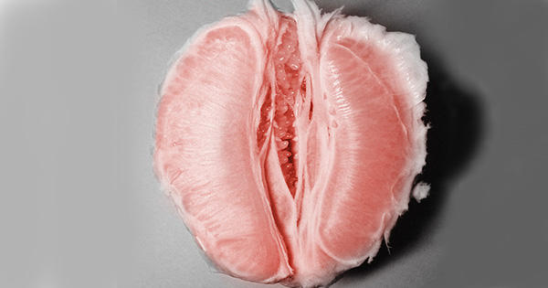 Do these actually look like a vagina/vulva women's private parts?