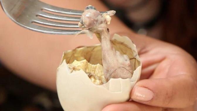 What is the Weirdest food/drink you’ve consumed?