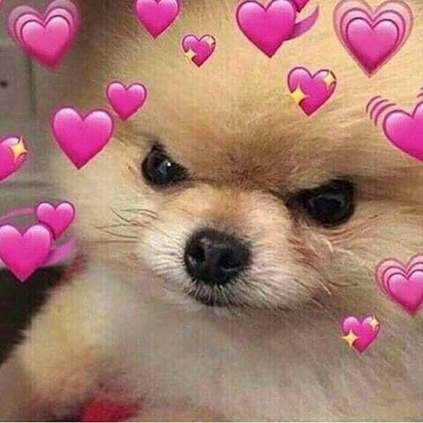 What would you do if you would be dating a person with a mental health issue??