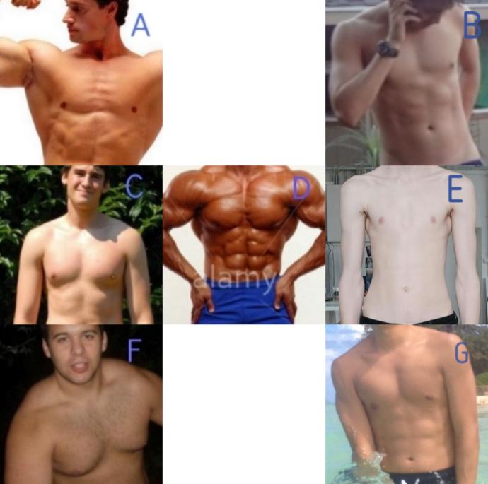 Different Body Types