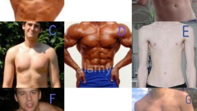 What's an ideal amount of muscle mass?