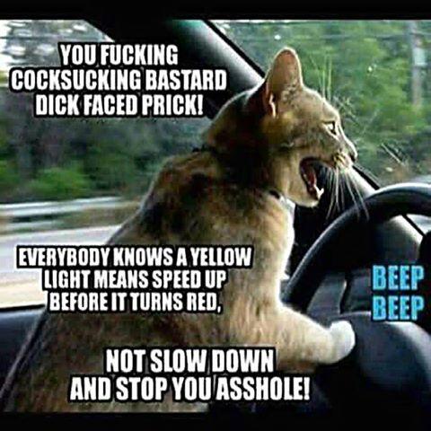 What do you do when you see a yellow traffic light?