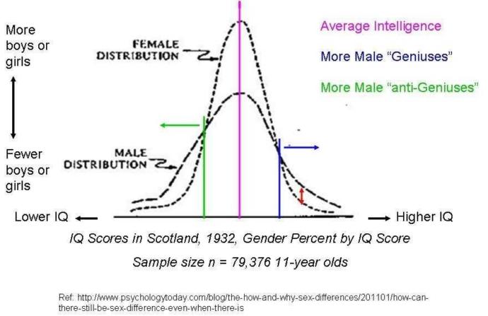 Are men, by nature, smarter than women?
