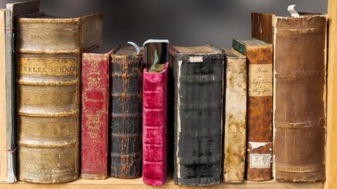 Your Favorite Book Author?
