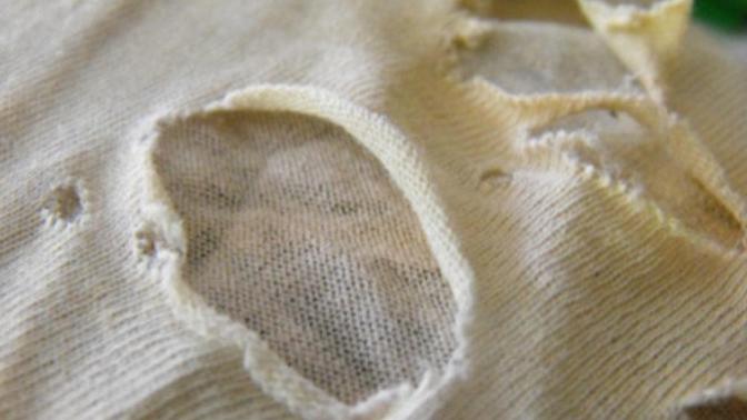 What would compel you to continue wearing worn-out underwear with holes?