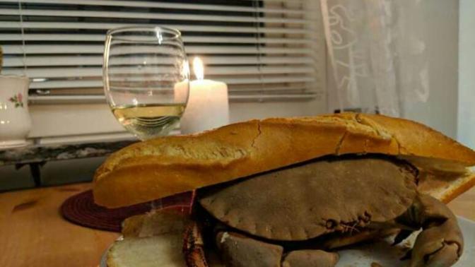 Does this meal look appetizing?