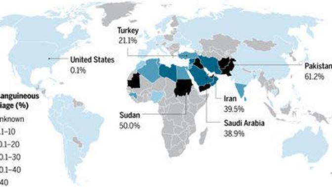 Why is Incest so much more prevalent in Muslim countries than anywhere else?