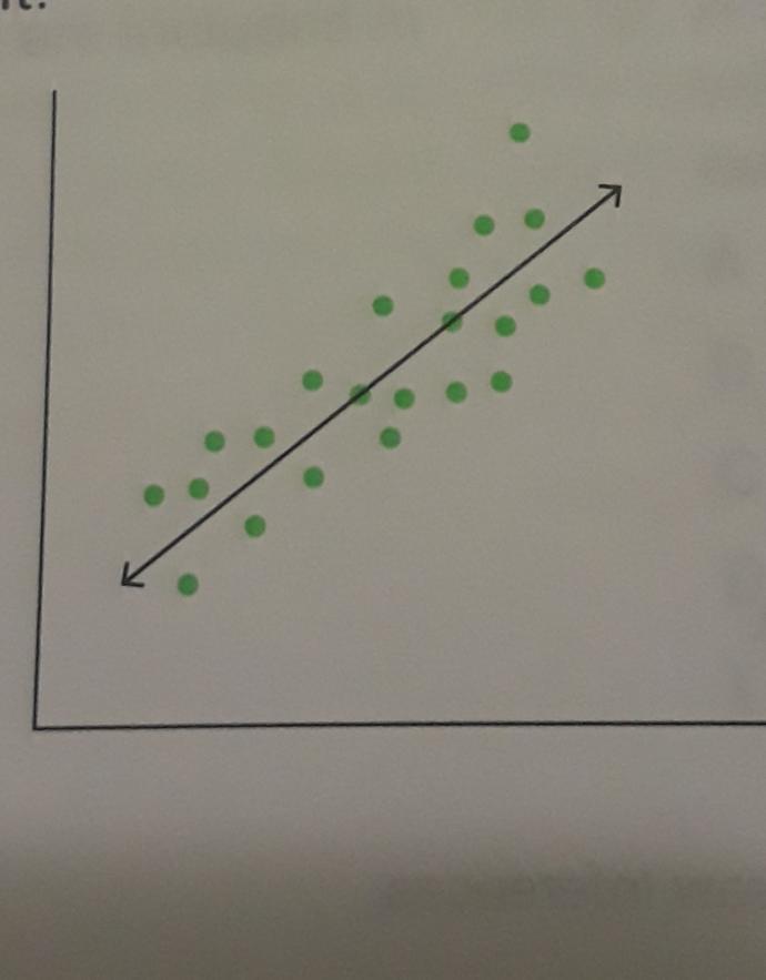 What is your favorite type of data visual?