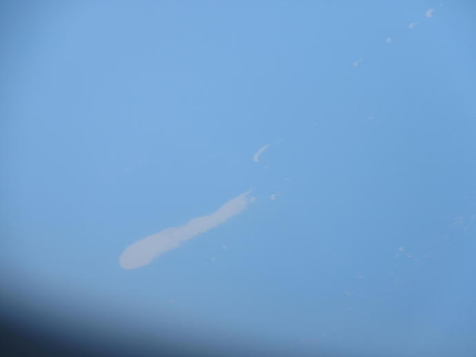 What is this strange orange stuff I always see when flying over the Gulf of Mexico and Caribbean?