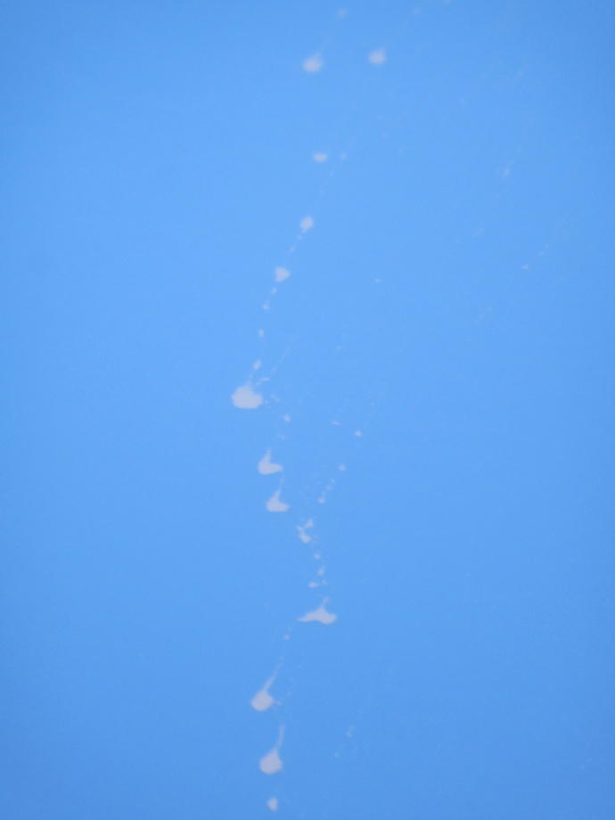 What is this strange orange stuff I always see when flying over the Gulf of Mexico and Caribbean?